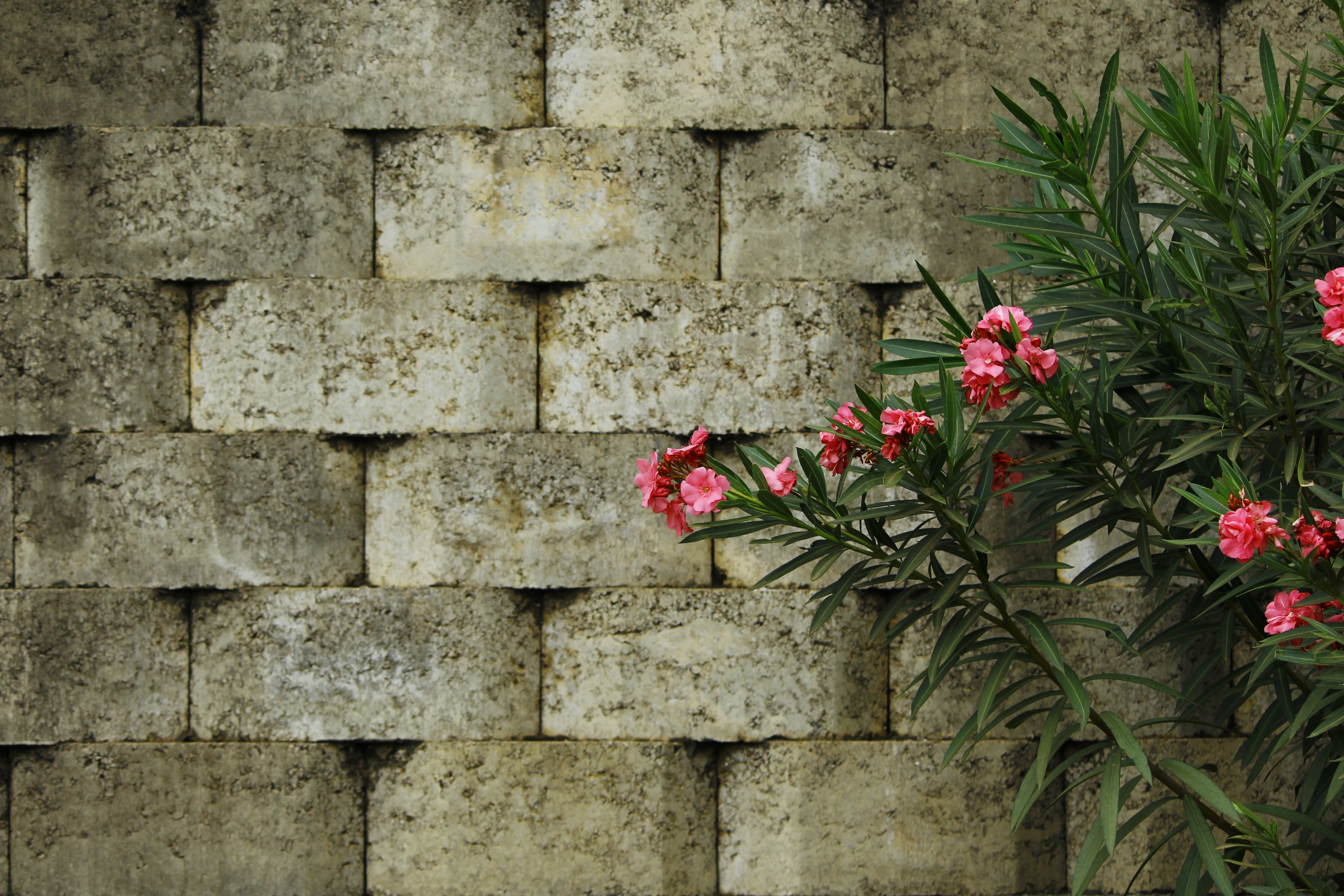 Retaining wall with landscaping